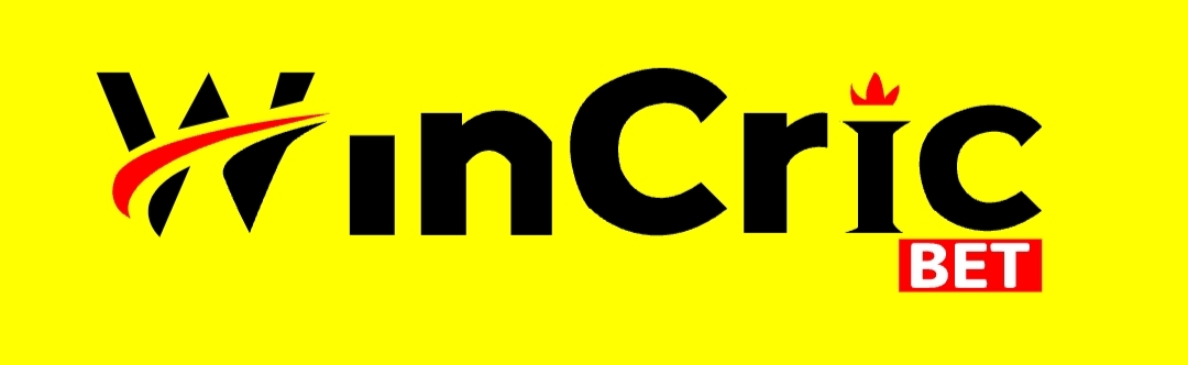 wincric.site Logo